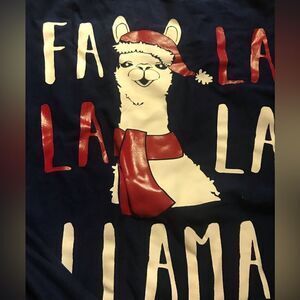 Merry wear size medium lama Christmas shirt like new excellent condition